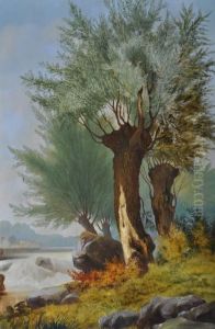 A Treelined River A Treelined River