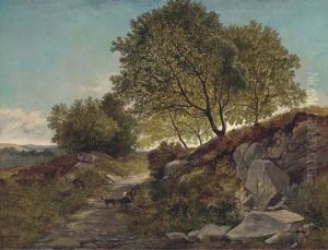 Gathering Firewood