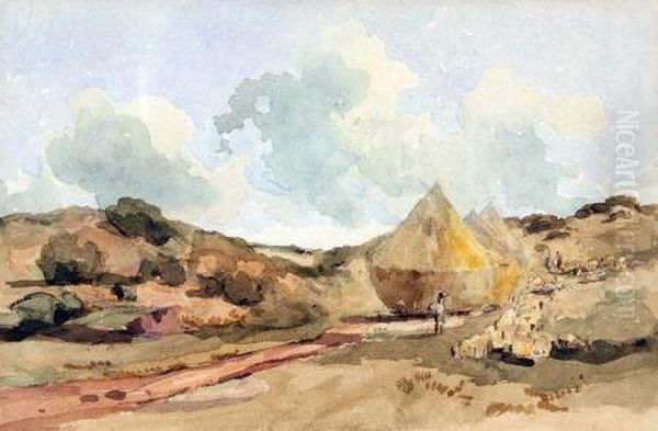 Landscape - view 1
