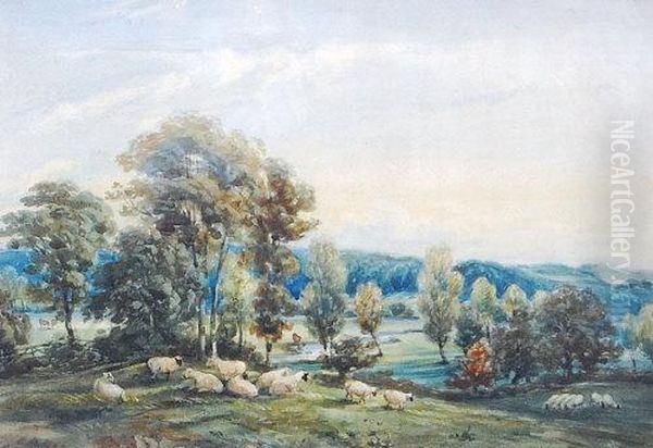 Sheep Grazing In A Landscape - view 1