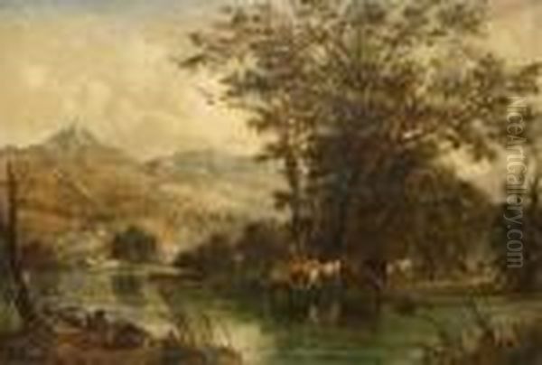 Cattle Watering By Rivers Edge - view 1