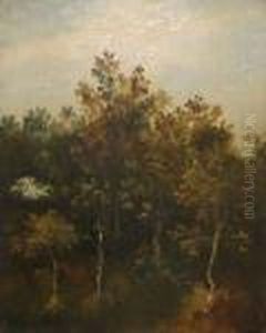 Tree Study by Thomas Gainsborough