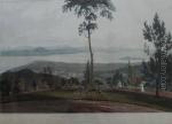 View From Strawberry Hill - view 1