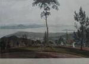 View From Strawberry Hill View From Strawberry Hill