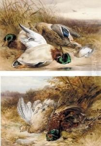 A Brace Of Pheasant On A Bank; And Mallards And A Woodcock by James Jnr Hardy
