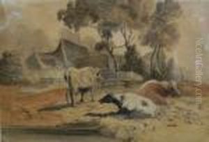 Cattle Beside A Pond With Farm Buildings Beyond