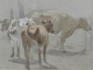 A Group Of Cattle