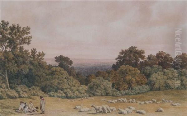 Sheep Grazing In An Extensive Landscape - view 1