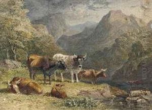 Cattle In A Highland Landscape