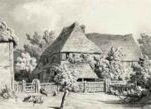 A Farmyard Scene With Four Piglets