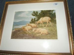 Sheep Resting On A Bank Overlooking A Lake