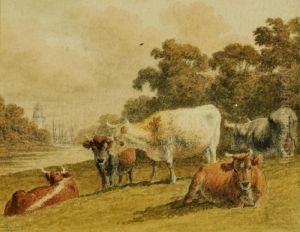 Cattle By A River