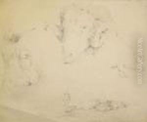 Study Ofsheep