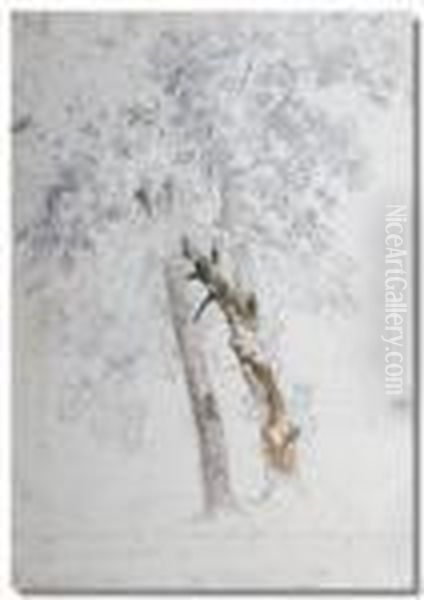 Trees At Knole - view 1