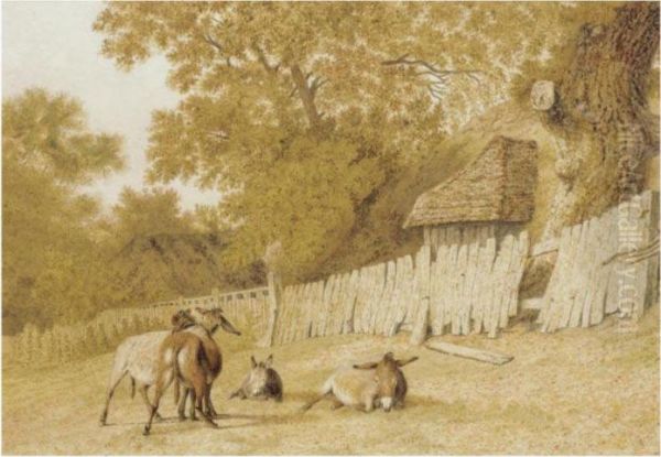Donkeys In A Field - view 1