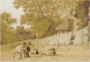 Donkeys In A Field