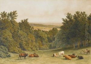 Near Box Hill, Surrey by Robert Hills