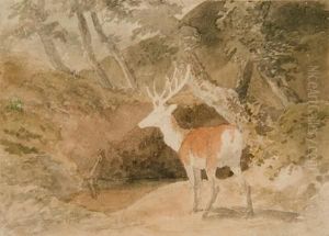 A Stag In A Glade by Robert Hills