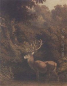 Stag In Woodland by Robert Hills