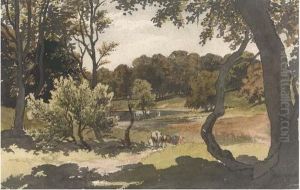 Cows Grazing In A Wooded Landscape Cows Grazing In A Wooded Landscape
