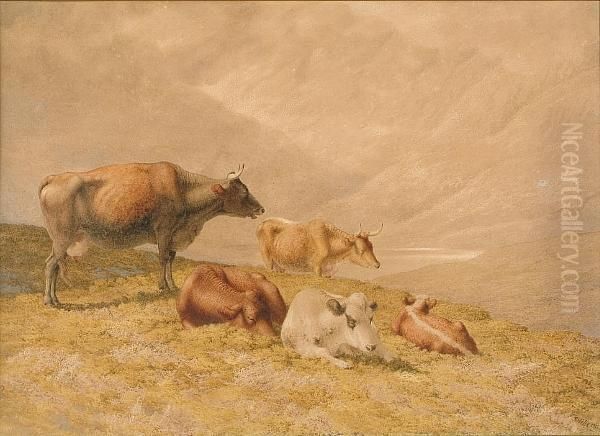 Cattle In A Highland Landscape - view 1