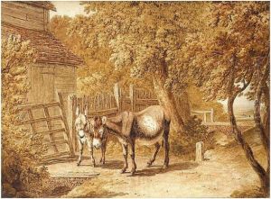 Donkeys By A Farmyard by Robert Hills