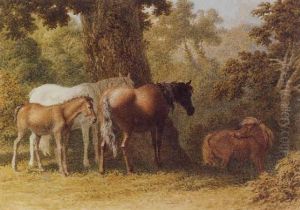 Ponies In A Woodland (#) Deer In A Woodland