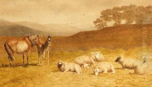 Sheep And Ponies Resting In An Extensive Landscape