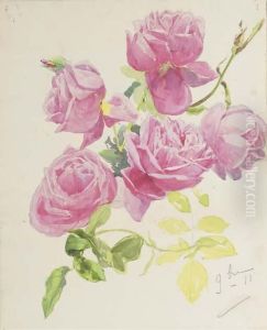 Rosa Roses Rosa Roses