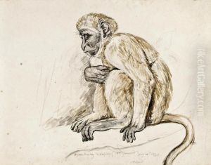 Study Of A Green Monkey by John Frederick Lewis