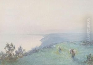 Golden Eve, Beer Common, East Devon by John White
