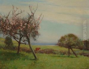 Landscape With Cherry Blossom