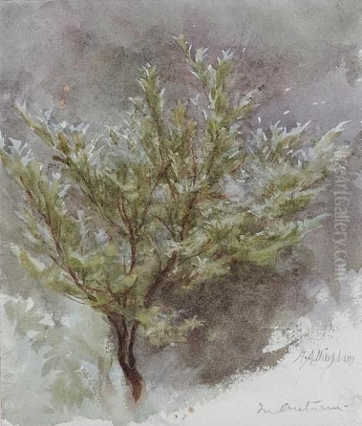 A Sapling In An Autumn Wind - view 1