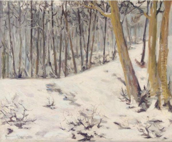 Winter Landscape - view 1