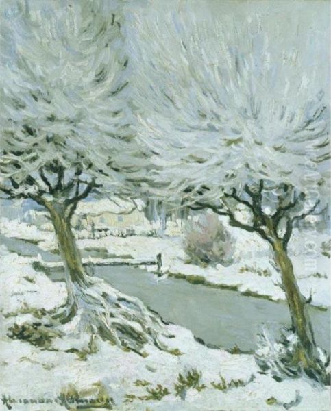 Forest In Winter - view 1