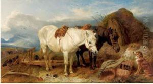 Chevaux Devant Un Chien Dans La Campagne Chevaux Devant Un Chien Dans La Campagne