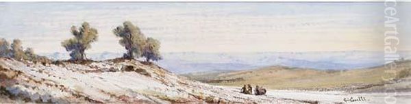 Moale Hills From Road To Bethany, Jerusalem - view 1