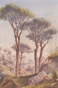 Alberi A Sorrento by Gabriele Carelli