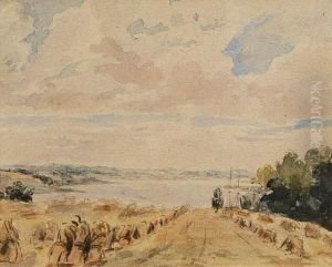 Cornfield By The River Deben, Woodbridge