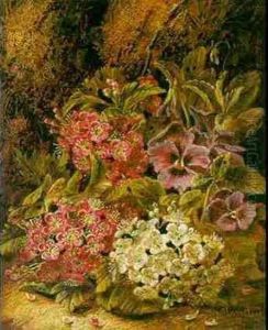 Apple Blossom by Oliver Clare