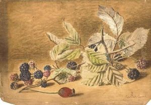 A Study Of Blackberries And A Rose-hip