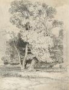 Landscape With Tree And Grazing Cattle Landscape With Tree And Grazing Cattle