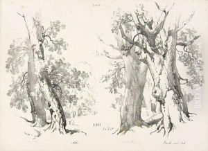 Artists' Manuals.- Lessons On Trees by James Duffield Harding