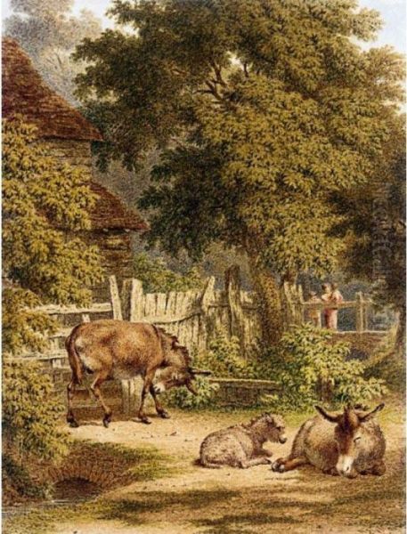 Donkeys In A Farmyard Near Sevenoaks, Kent - view 1