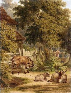Donkeys In A Farmyard Near Sevenoaks, Kent by Robert Hills