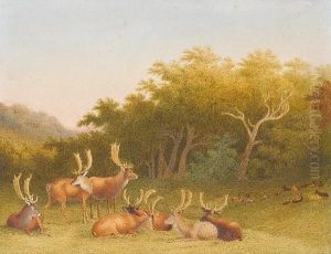 Deer Resting In A Landscape by Robert Hills