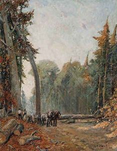 Road through the Bush