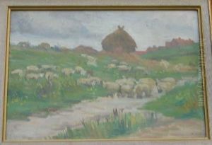 Troupeau De Mouton Troupeau De Mouton