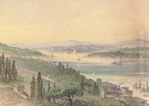 A View Of The Bosphorus From Arnavutkoy To The North by Amadeo Preziosi