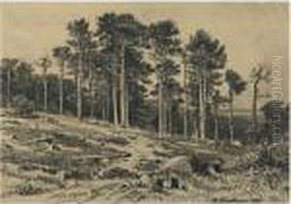 Landscape With Trees - view 1